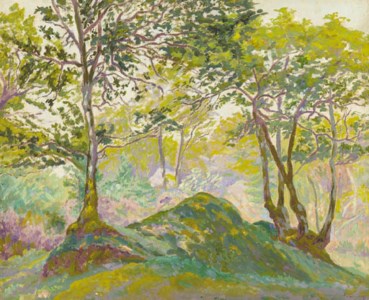 Clairière en forêt d'écouves