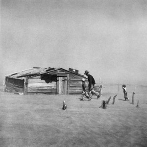 Selected images