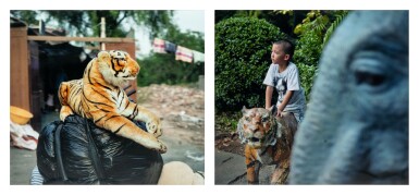 Liu Younian 劉又年 | City Zoo  城市動物園