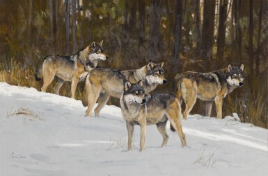 Four Wolves in the Snow