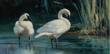 Refuge Waters