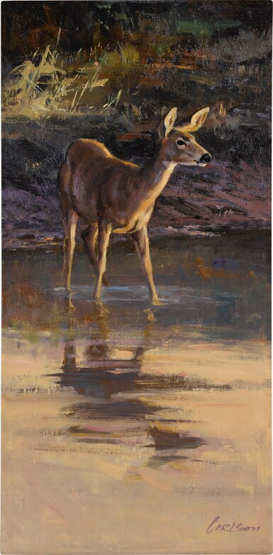 Reflection