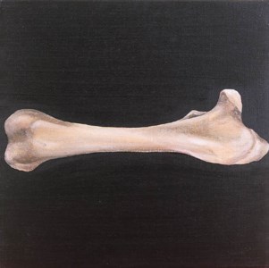 BONE