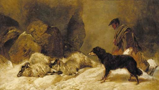 Lost, a shepherd with a dog and sheep in a snowy landscape