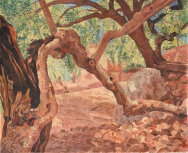 Oude tamarinde, steeneiken en olijven op Majorca - The old tamarind tree, holm-oaks and olive-trees, Mallorca