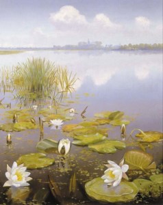 Waterlillies in the Loosdrechtse plassen , Kortenhoef in the distance