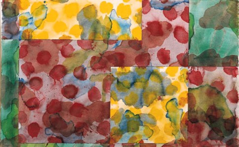 Untitled (from the Orchid Series)