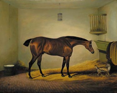 President , a bay hunter with a dog in a stable