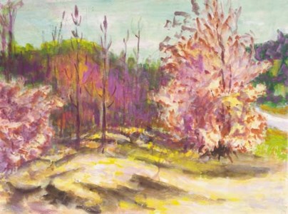 Flowers in a field,trees in the distance