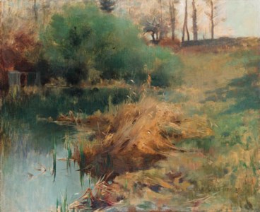 Spring Study of Reeds in Chadwick's Garden at Grèz