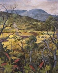 Cane Farms North Queensland