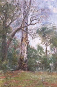 Bush Study, Macedon