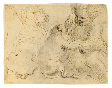 A child playing with dogs