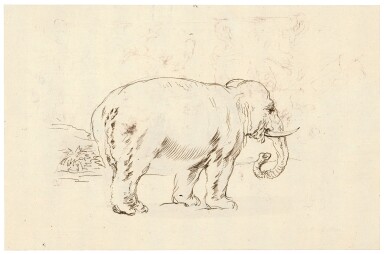 Recto: Study of an Elephant Verso: The Battle of the Centaurs and Lapiths