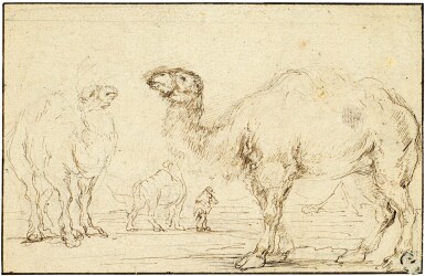 Three camels and their driver, a pyramid in the distance     