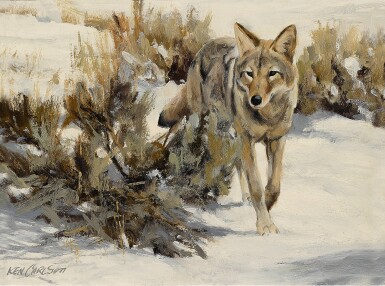 Winter Drifter