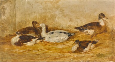 Ducks