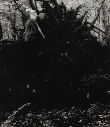 Untitled (Andover, Massachusetts)