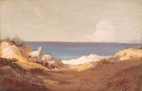 San Miguel Island