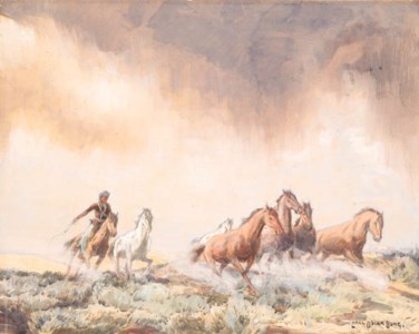In Navajo Land