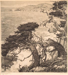 Foam and Cypress, Point Lobos