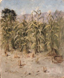 The Cornfield