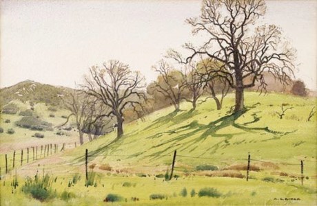 A Sunny Spring Landscape