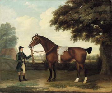 A saddled bay hunter held by a groom