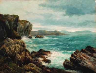 Seagulls in a rocky coastal landscape