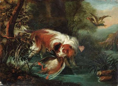A hunting dog retrieving a mallard