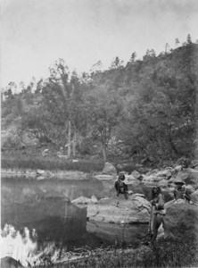 View on Apache Lake, Sierra Blanca Range, Arizona