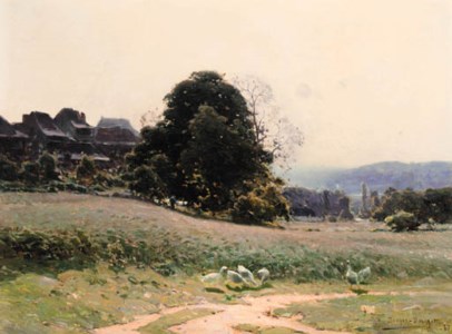 Geese by a path in a summer meadow