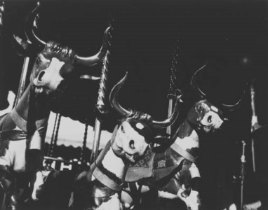 Carousel Cows