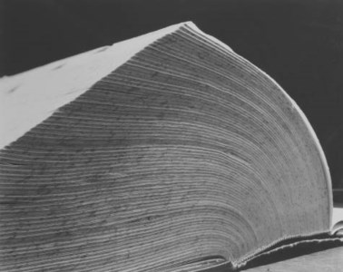 Dictionary