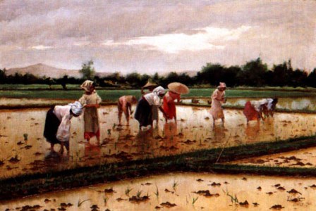 Women working in a rice field