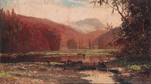 Chilean Landscape