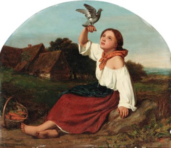 The favorite
