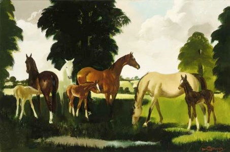 Horses Grazing