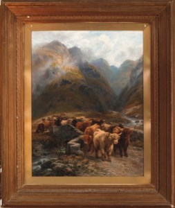 Highland Cattle in an extensive landscape
