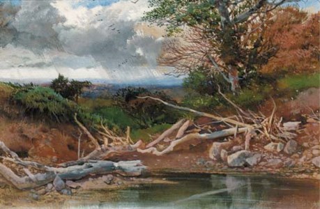 A pond in a wooded landscape