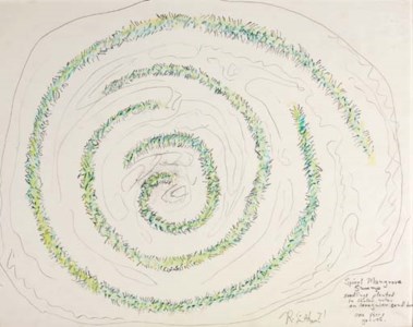 Spiral Mangrove