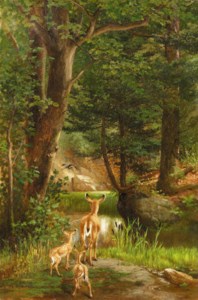 Life in the Forest