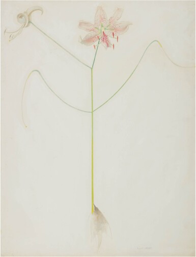 Lily and Bird