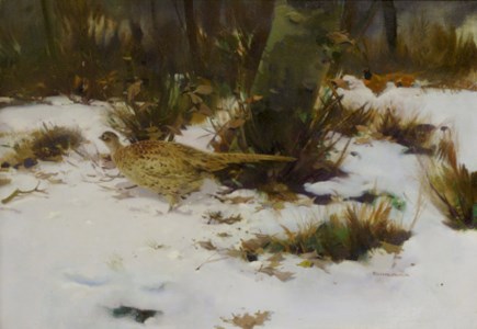 Winter landscape with pheasants
