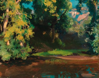 Rocky Pool