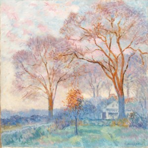 Elms at Sunrise
