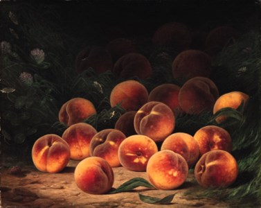 Bounty of Peaches