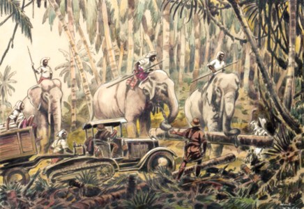 Elephants in a forest