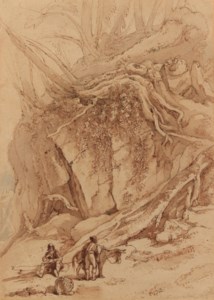 Nightingale valley, Clifton