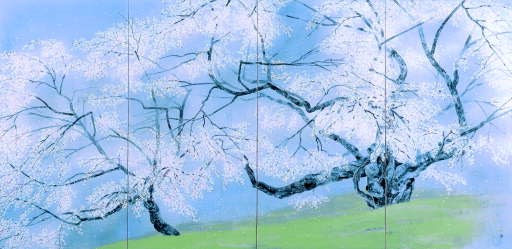 Garyo zakura ('Sleeping-dragon' cherry)
